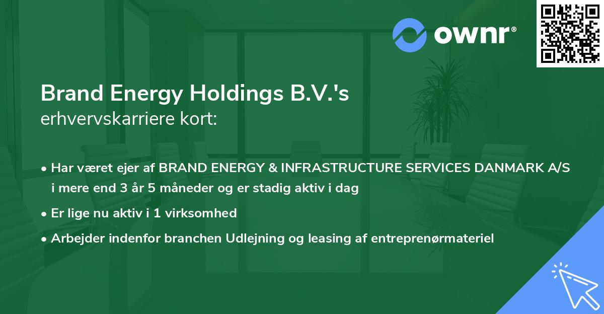 Brand Energy Holdings B.V.'s erhvervskarriere kort