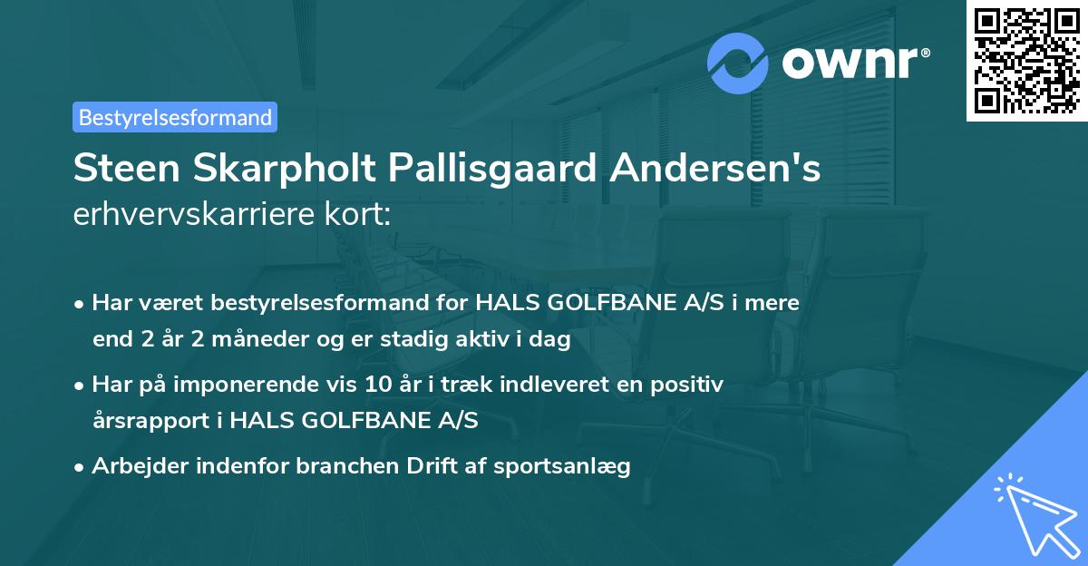 Steen Skarpholt Pallisgaard Andersen's erhvervskarriere kort