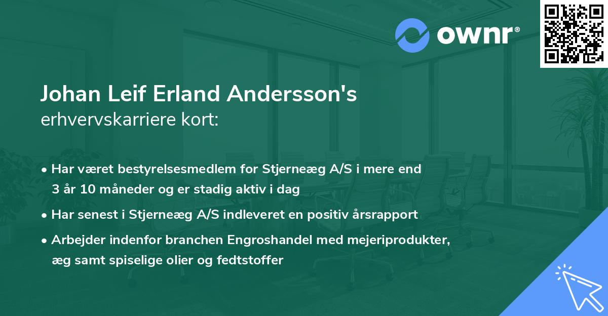 Johan Leif Erland Andersson's erhvervskarriere kort
