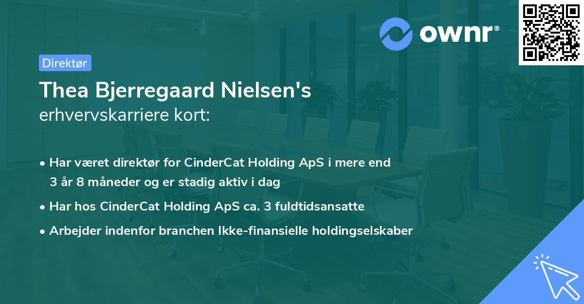 Thea Bjerregaard Nielsen's erhvervskarriere kort