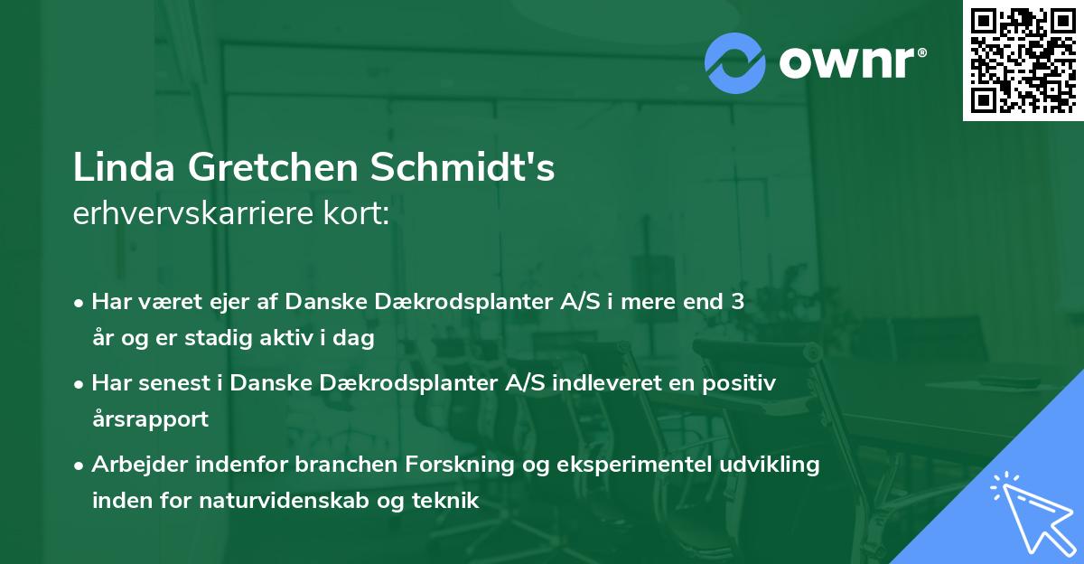 Linda Gretchen Schmidt's erhvervskarriere kort