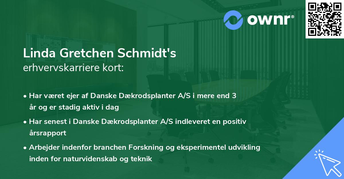Linda Gretchen Schmidt's erhvervskarriere kort