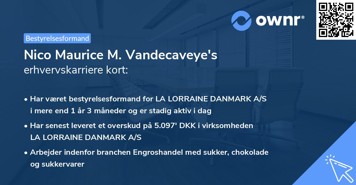 Nico Maurice M. Vandecaveye's erhvervskarriere kort