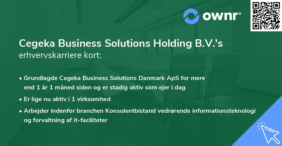 Cegeka Business Solutions Holding B.V.'s erhvervskarriere kort