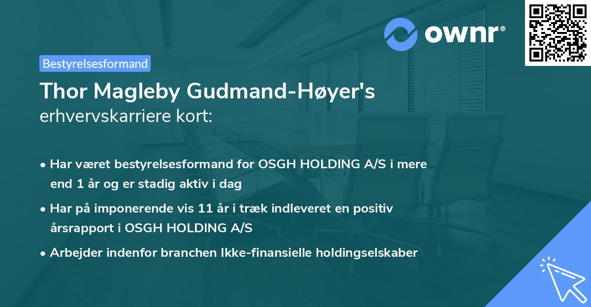 Thor Magleby Gudmand-Høyer's erhvervskarriere kort
