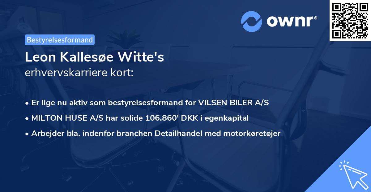 Leon Kallesøe Witte's erhvervskarriere kort