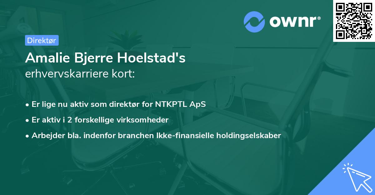 Amalie Bjerre Hoelstad's erhvervskarriere kort