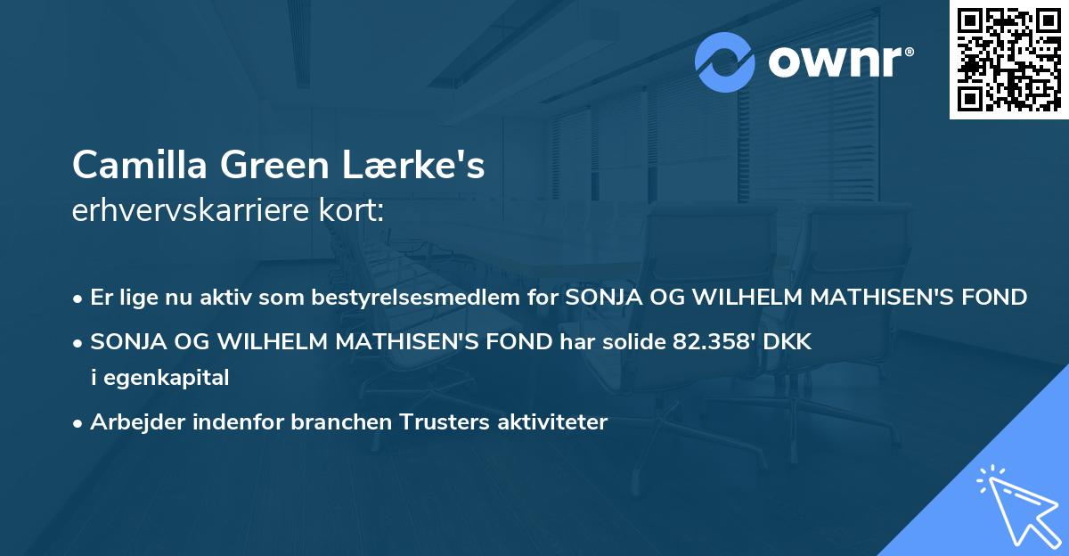 Camilla Green Lærke's erhvervskarriere kort