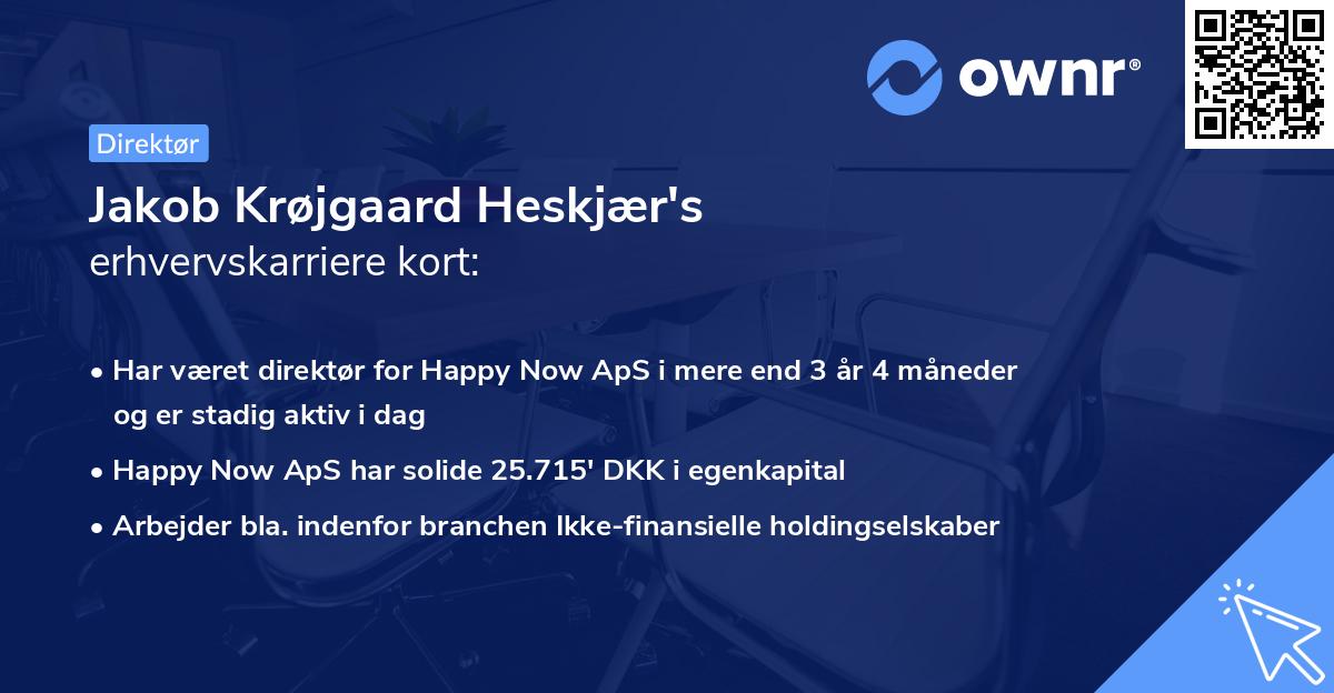 Jakob Krøjgaard Heskjær's erhvervskarriere kort