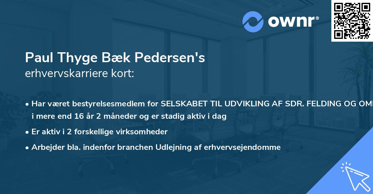 Paul Thyge Bæk Pedersen's erhvervskarriere kort