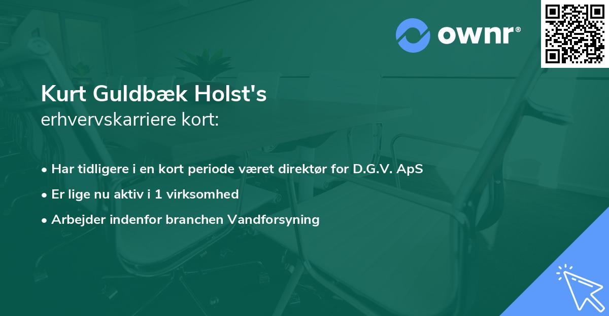 Kurt Guldbæk Holst's erhvervskarriere kort