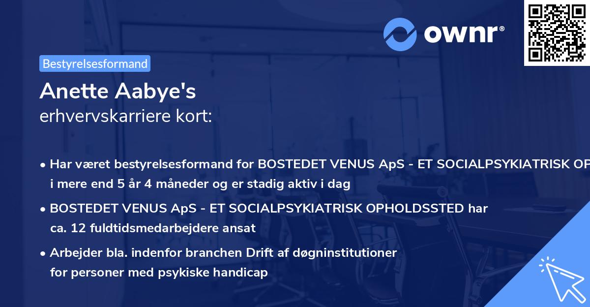 Anette Aabye's erhvervskarriere kort