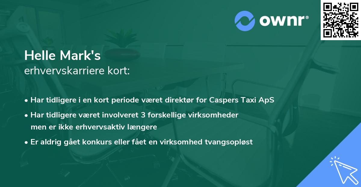 Helle Mark's erhvervskarriere kort