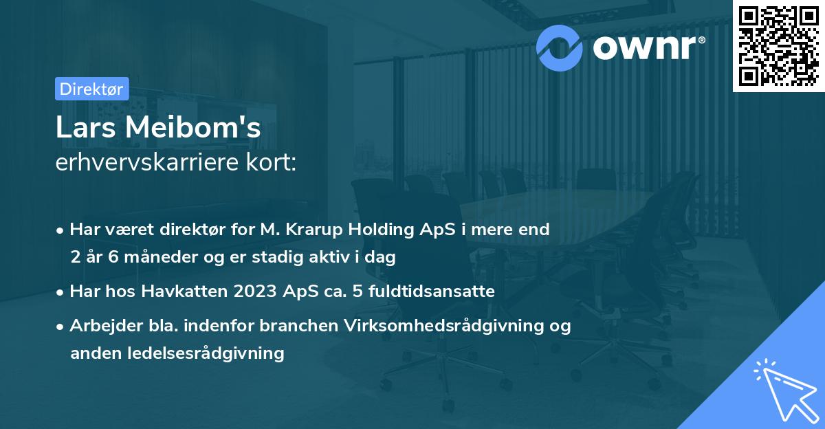 Lars Meibom's erhvervskarriere kort