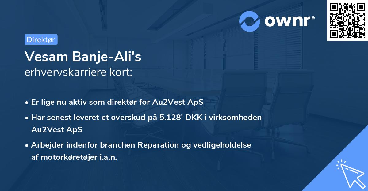 Vesam Banje-Ali's erhvervskarriere kort