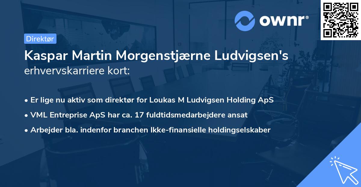 Kaspar Martin Morgenstjærne Ludvigsen's erhvervskarriere kort