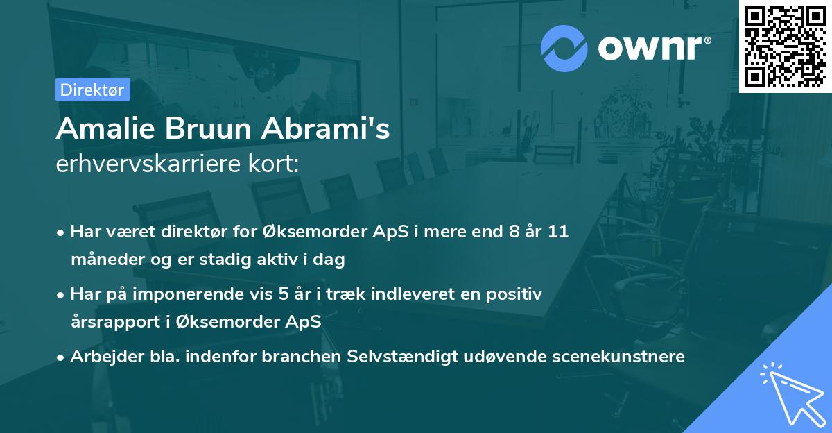 Amalie Bruun Abrami's erhvervskarriere kort