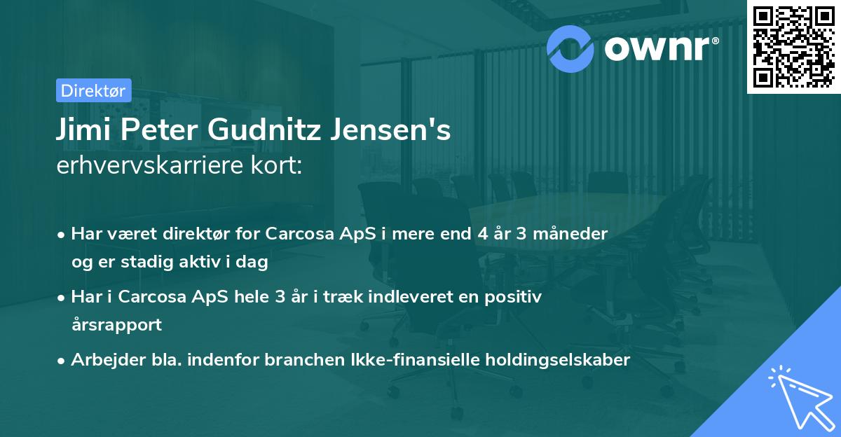 Jimi Peter Gudnitz Jensen's erhvervskarriere kort
