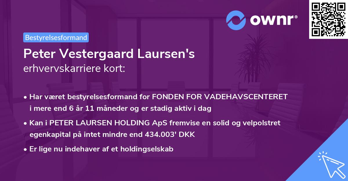 Peter Vestergaard Laursen's erhvervskarriere kort