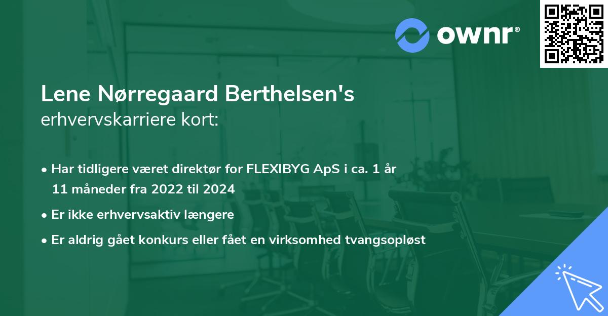 Lene Nørregaard Berthelsen's erhvervskarriere kort