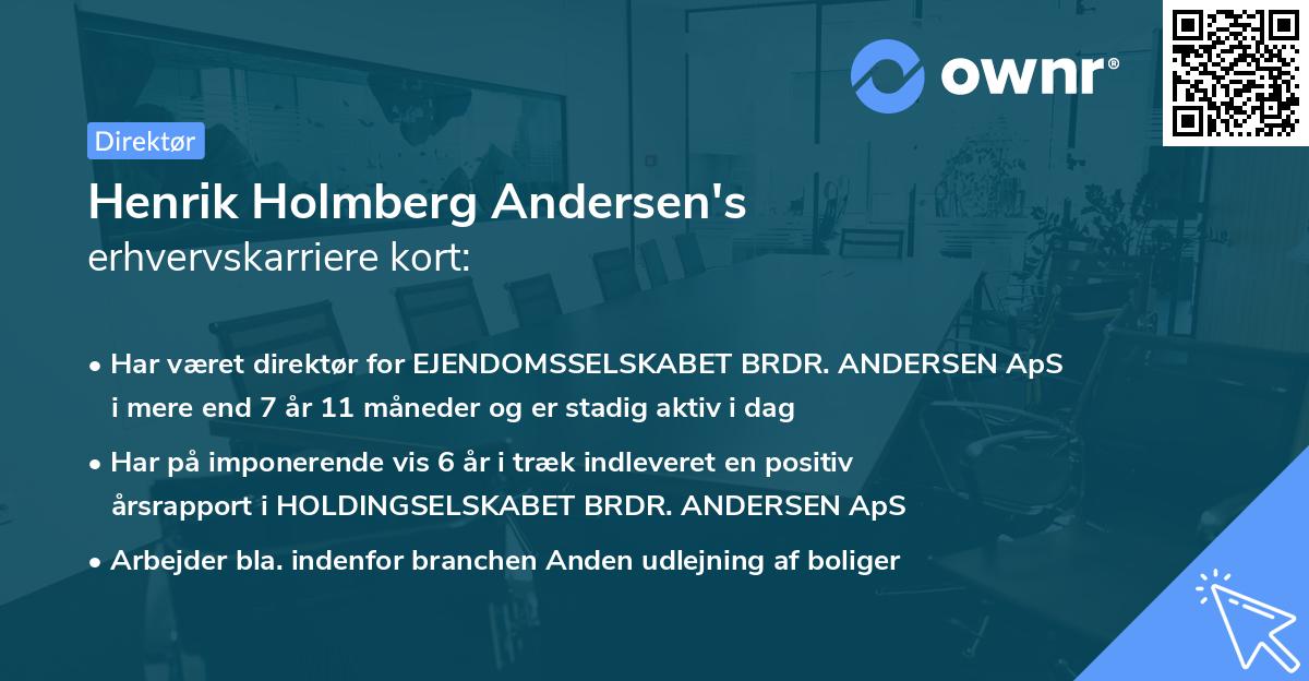 Henrik Holmberg Andersen's erhvervskarriere kort