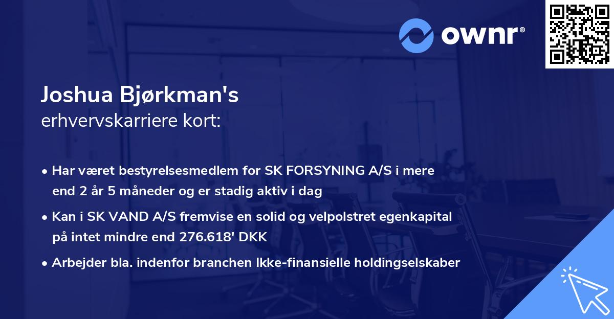 Joshua Bjørkman's erhvervskarriere kort