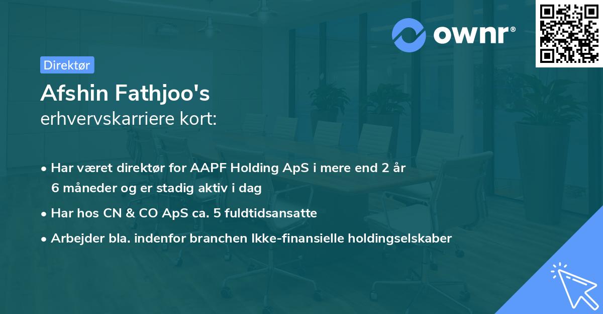 Afshin Fathjoo's erhvervskarriere kort