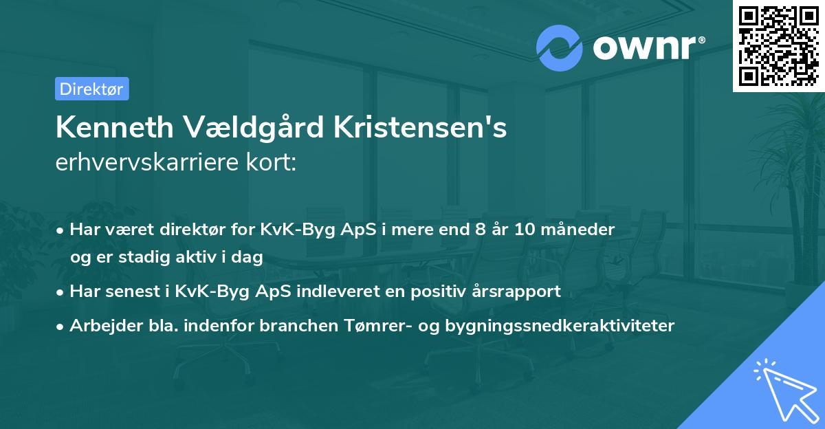 Kenneth Vældgård Kristensen's erhvervskarriere kort