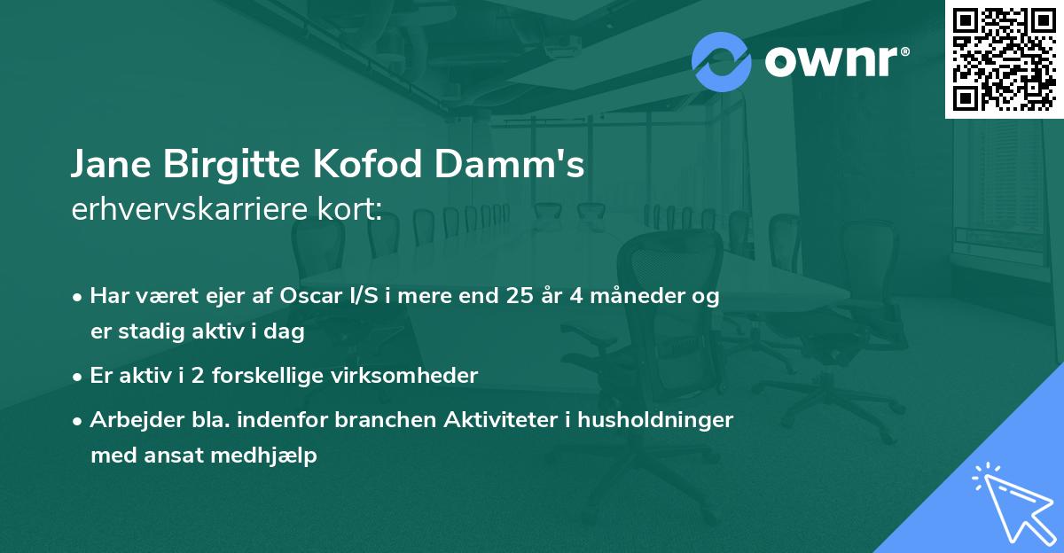Jane Birgitte Kofod Damm's erhvervskarriere kort