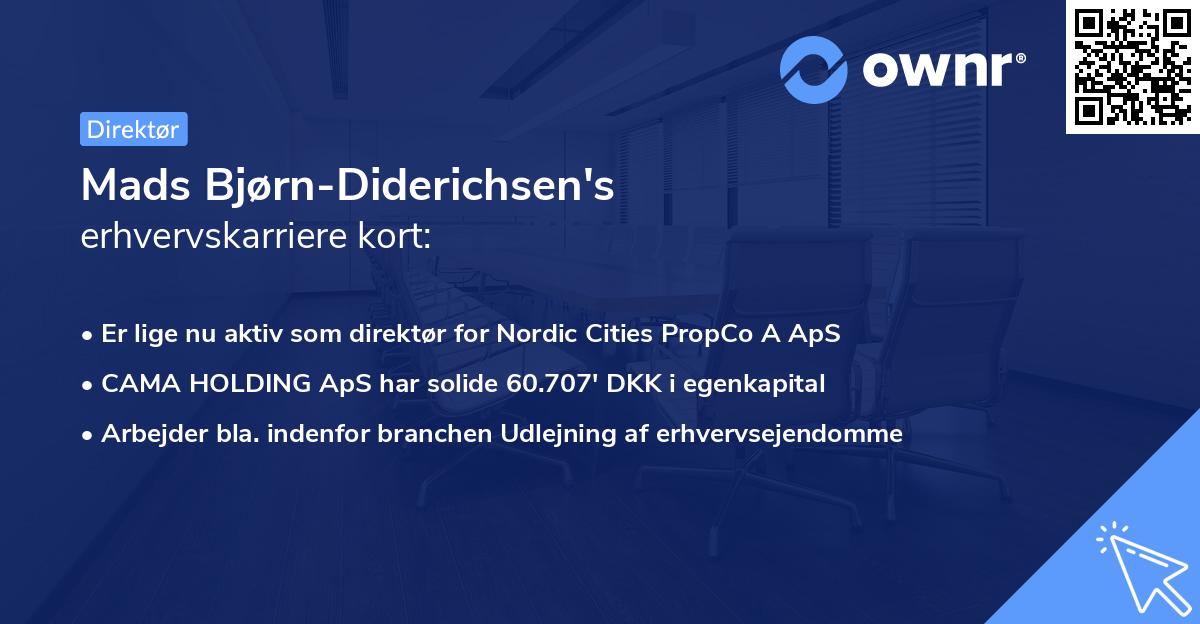 Mads Bjørn-Diderichsen's erhvervskarriere kort