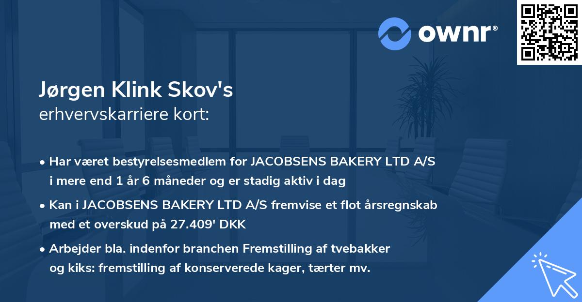 Jørgen Klink Skov's erhvervskarriere kort