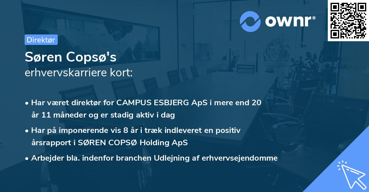Søren Copsø's erhvervskarriere kort