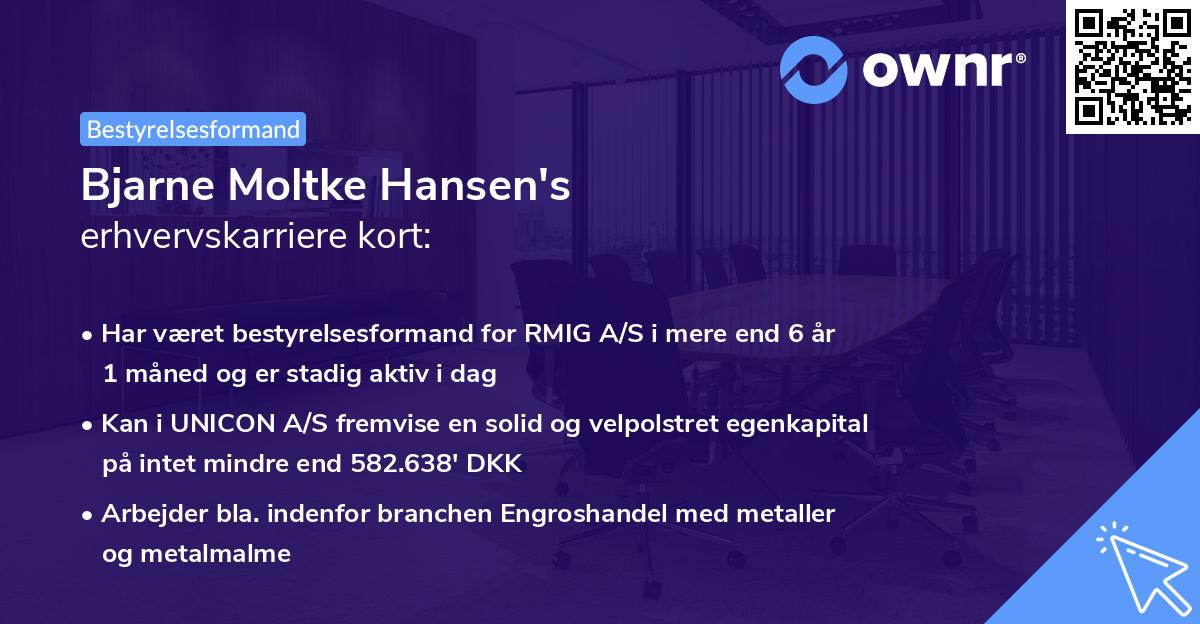 Bjarne Moltke Hansen's erhvervskarriere kort