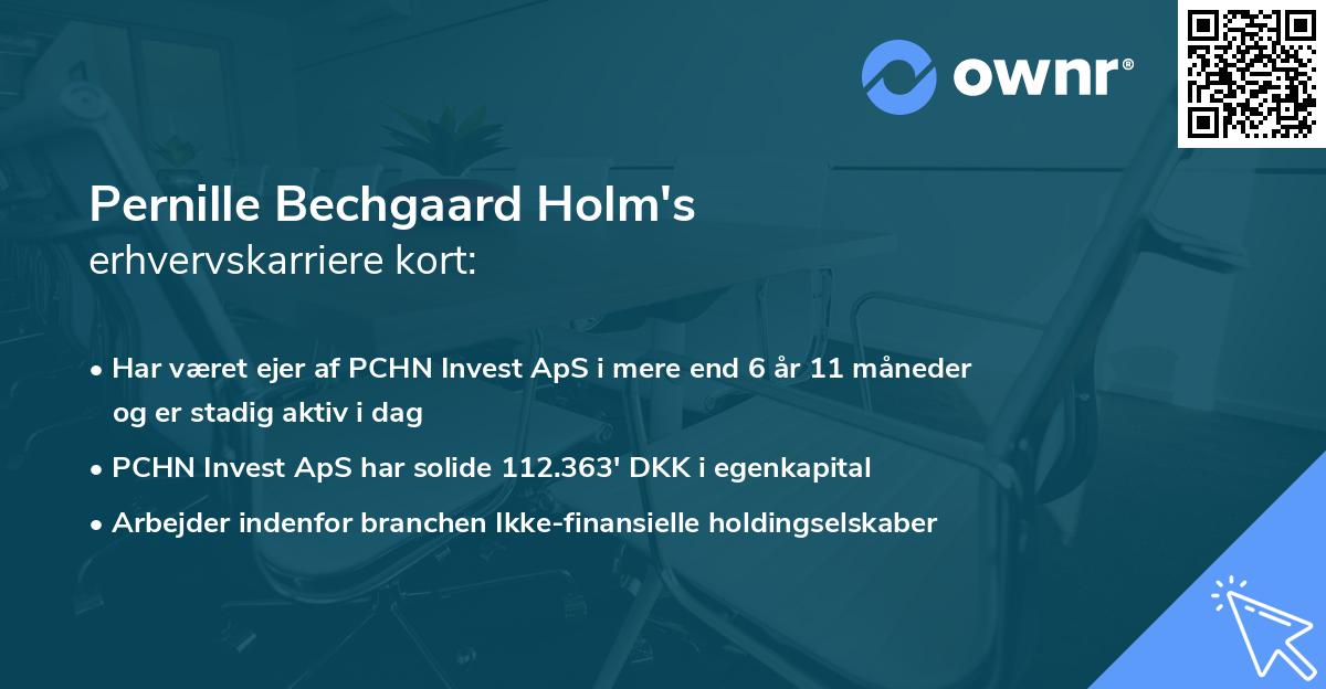 Pernille Bechgaard Holm's erhvervskarriere kort