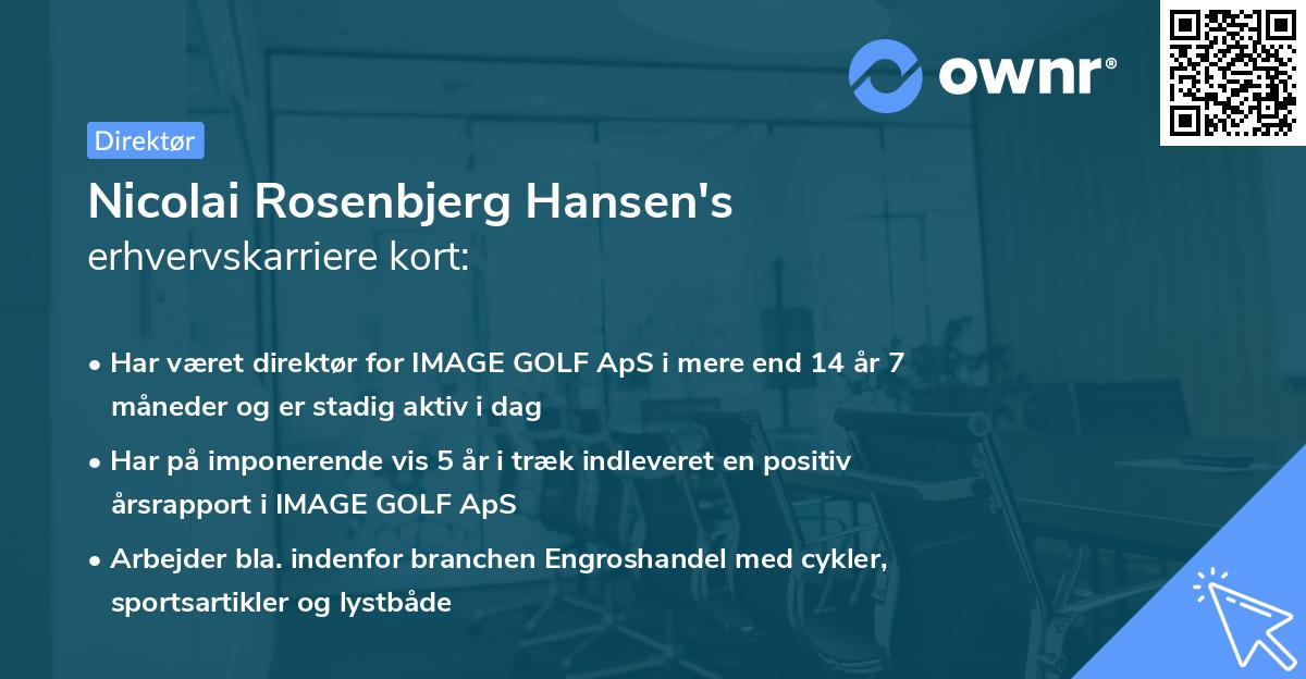 Nicolai Rosenbjerg Hansen's erhvervskarriere kort