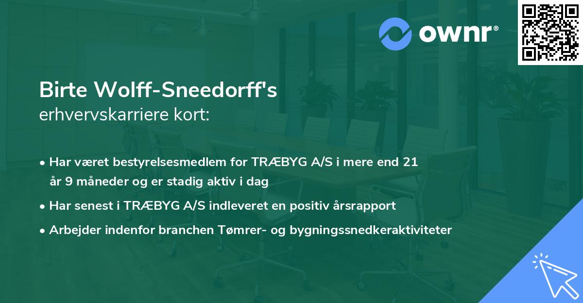 Birte Wolff-Sneedorff's erhvervskarriere kort