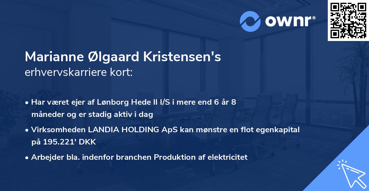 Marianne Ølgaard Kristensen's erhvervskarriere kort