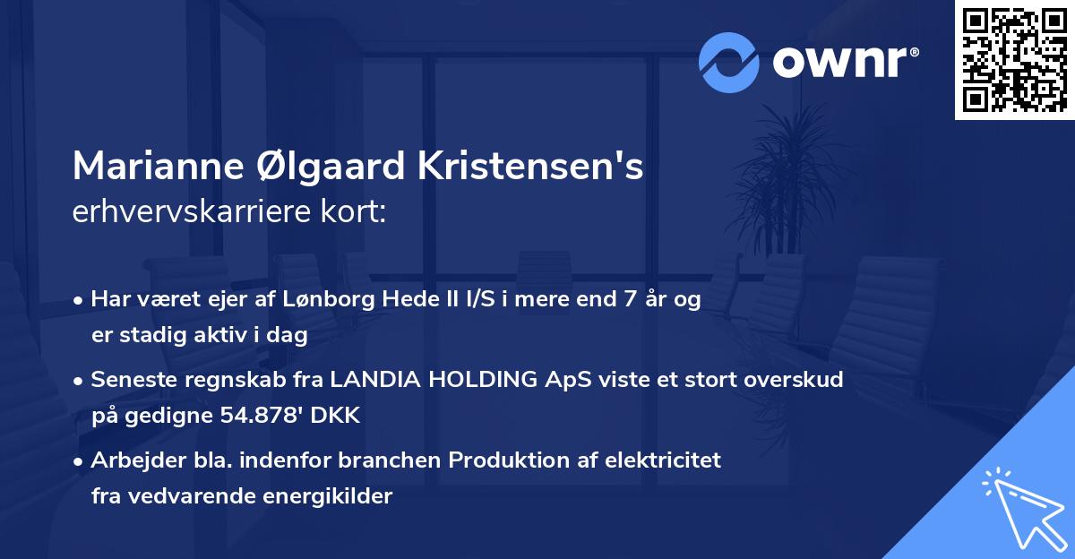 Marianne Ølgaard Kristensen's erhvervskarriere kort