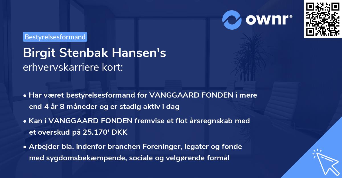 Birgit Stenbak Hansen's erhvervskarriere kort