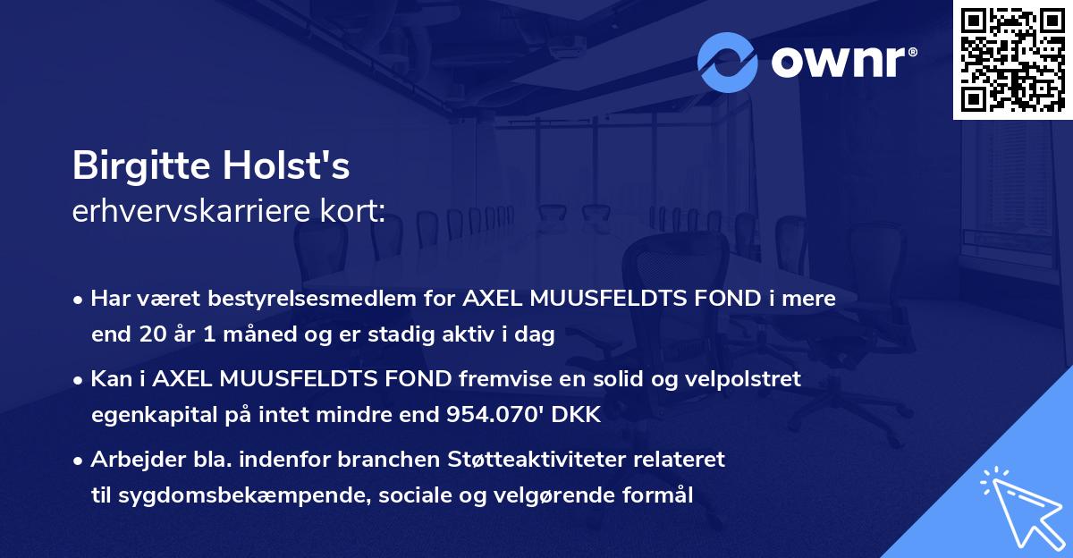 Birgitte Holst's erhvervskarriere kort