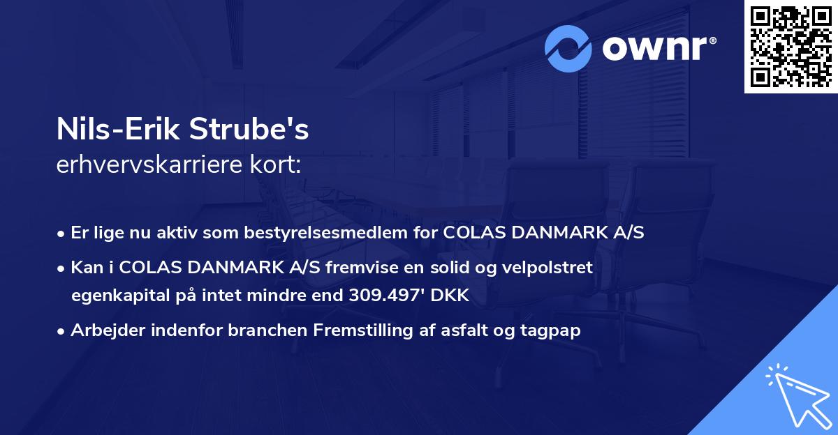 Nils-Erik Strube's erhvervskarriere kort