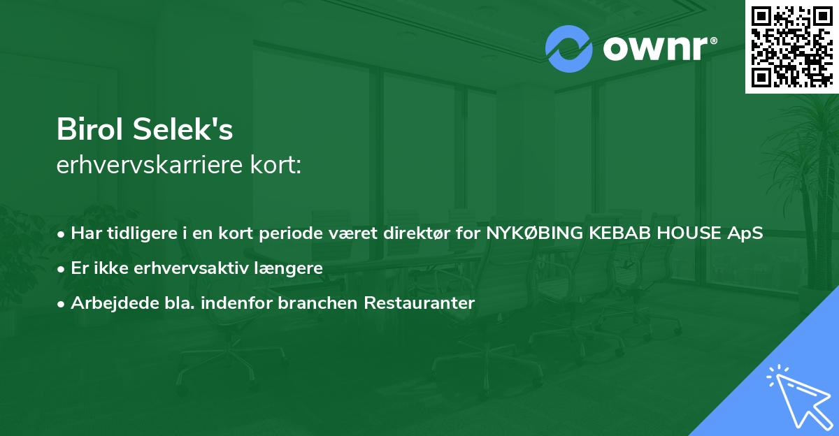Birol Selek's erhvervskarriere kort