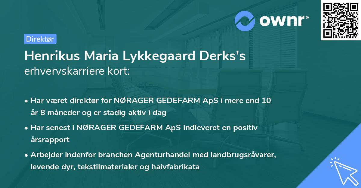 Henrikus Maria Lykkegaard Derks's erhvervskarriere kort