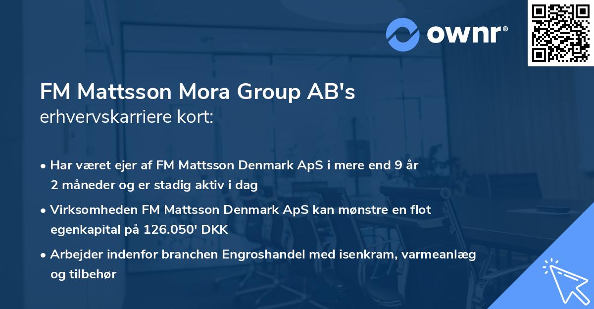 FM Mattsson Mora Group AB's erhvervskarriere kort