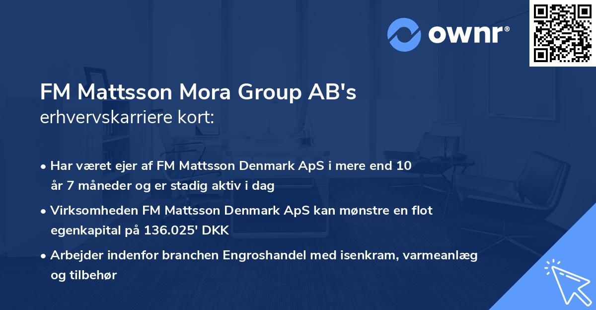 FM Mattsson Mora Group AB's erhvervskarriere kort