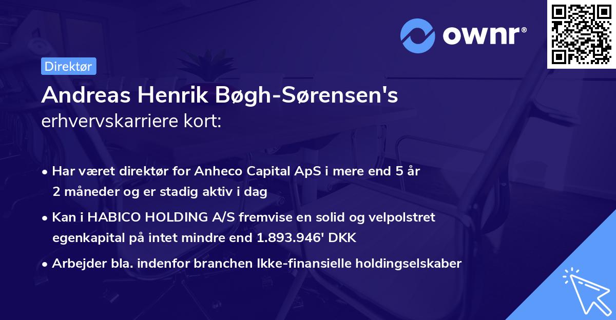 Andreas Henrik Bøgh-Sørensen's erhvervskarriere kort