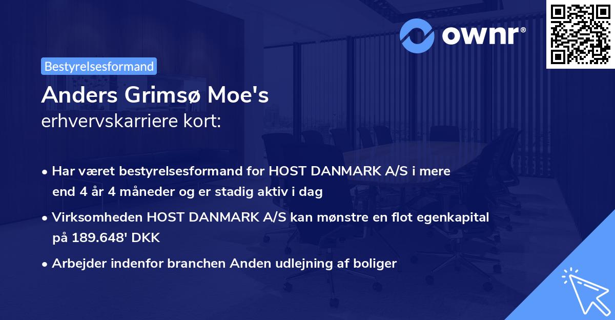 Anders Grimsø Moe's erhvervskarriere kort