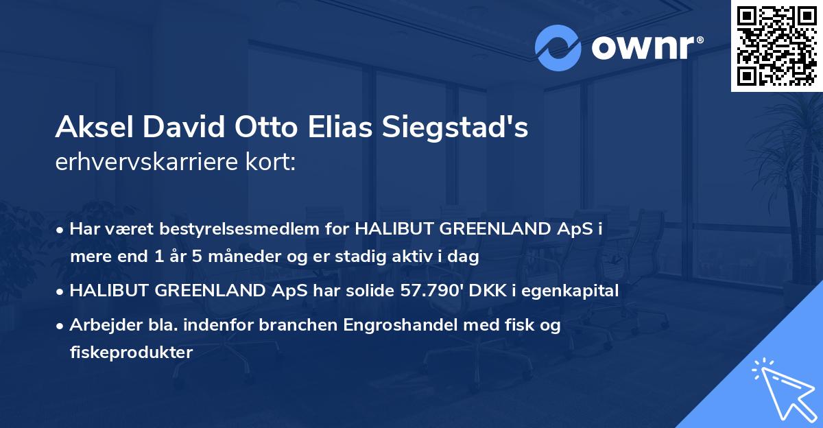 Aksel David Otto Elias Siegstad's erhvervskarriere kort