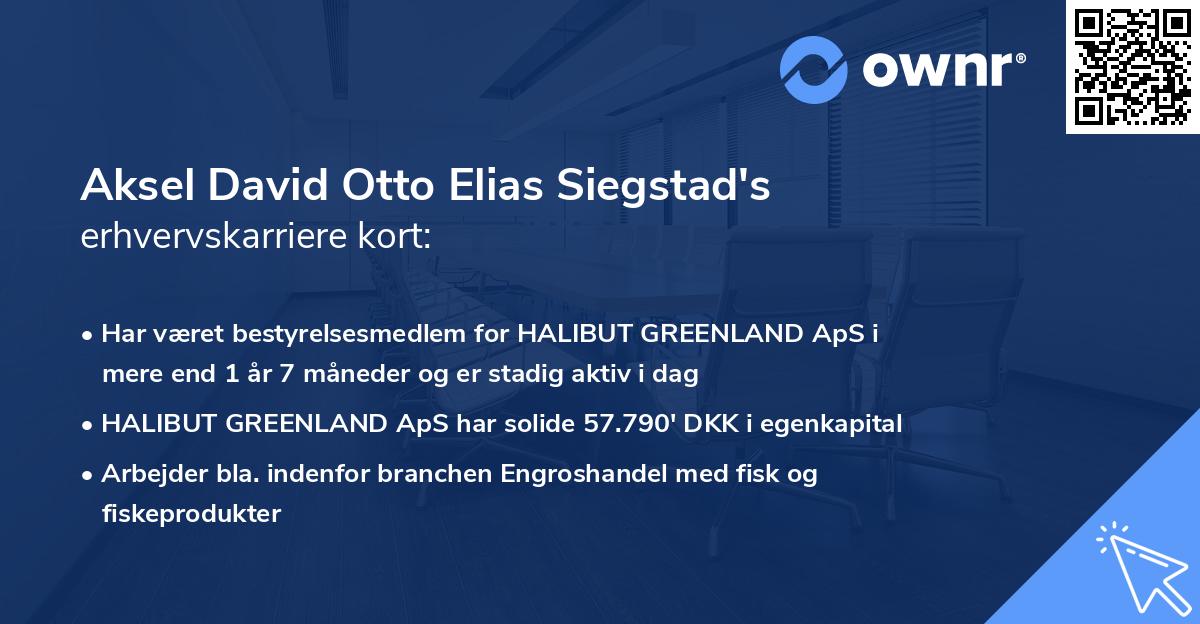 Aksel David Otto Elias Siegstad's erhvervskarriere kort