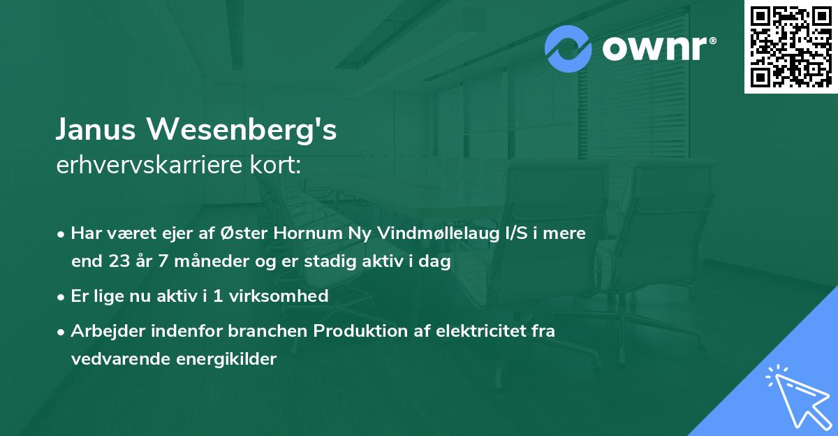 Janus Wesenberg's erhvervskarriere kort